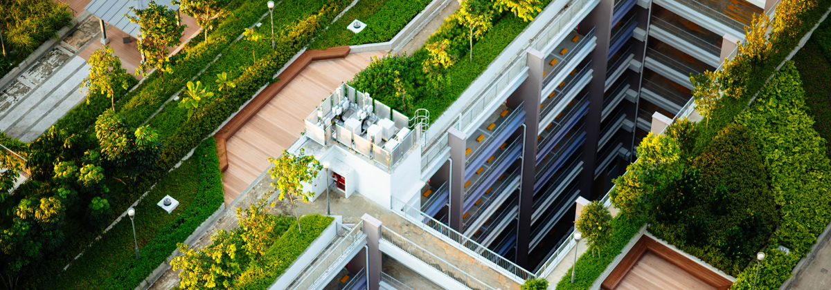 Strategy primer: ESG improvers