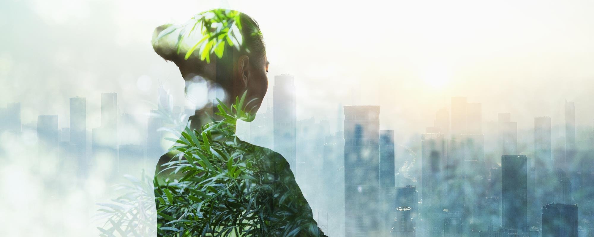 Sustainability: Seizing the opportunity