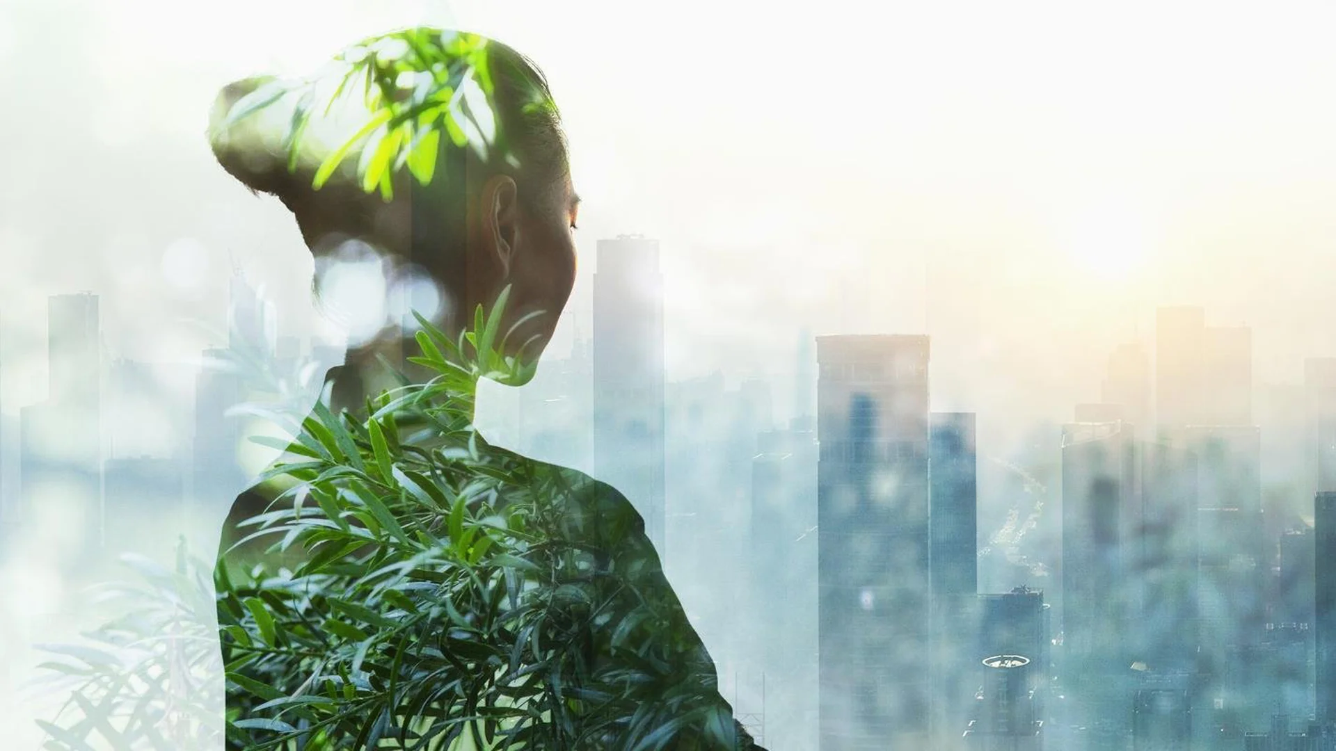 Sustainability: Seizing the opportunity