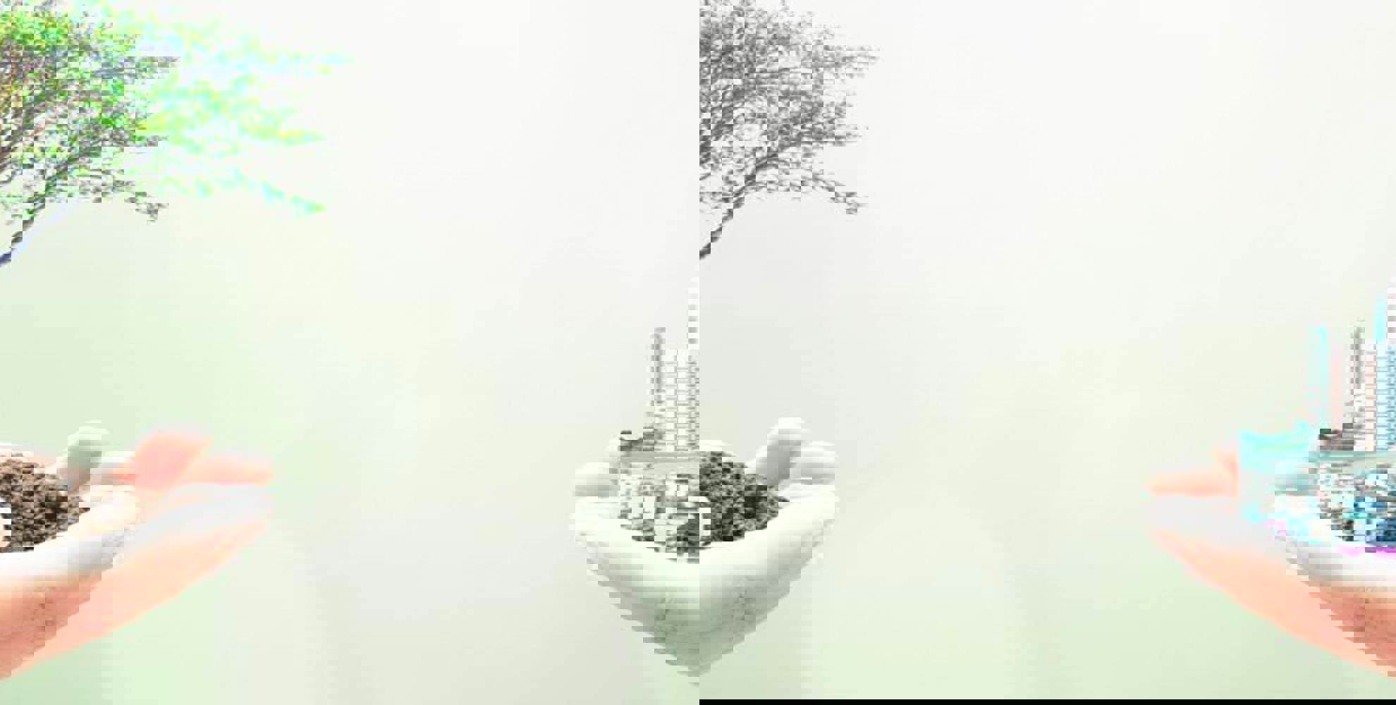 Counterpoint Weekly 15 June 2020