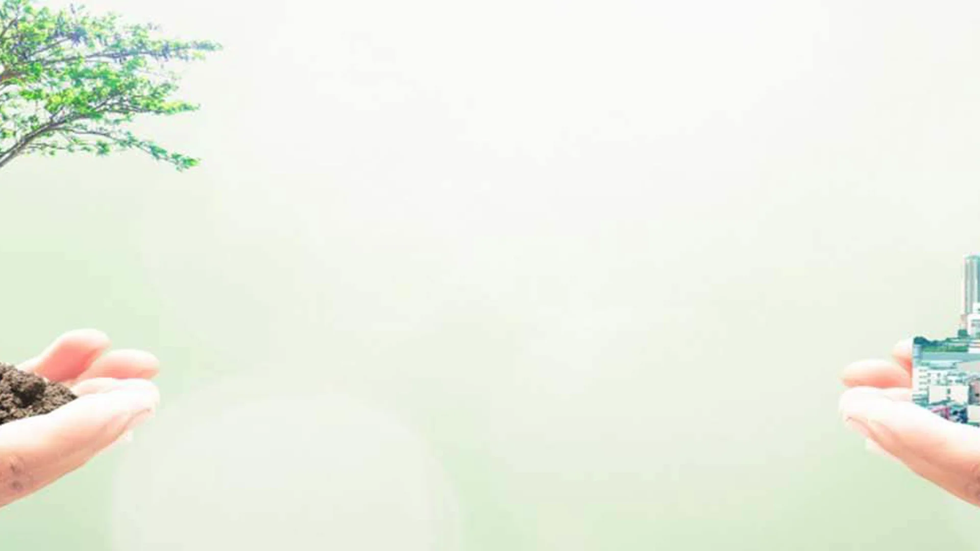 Counterpoint Weekly 15 June 2020