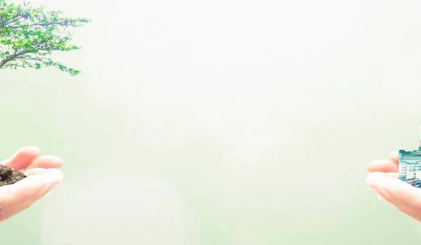 Counterpoint Weekly 15 June 2020