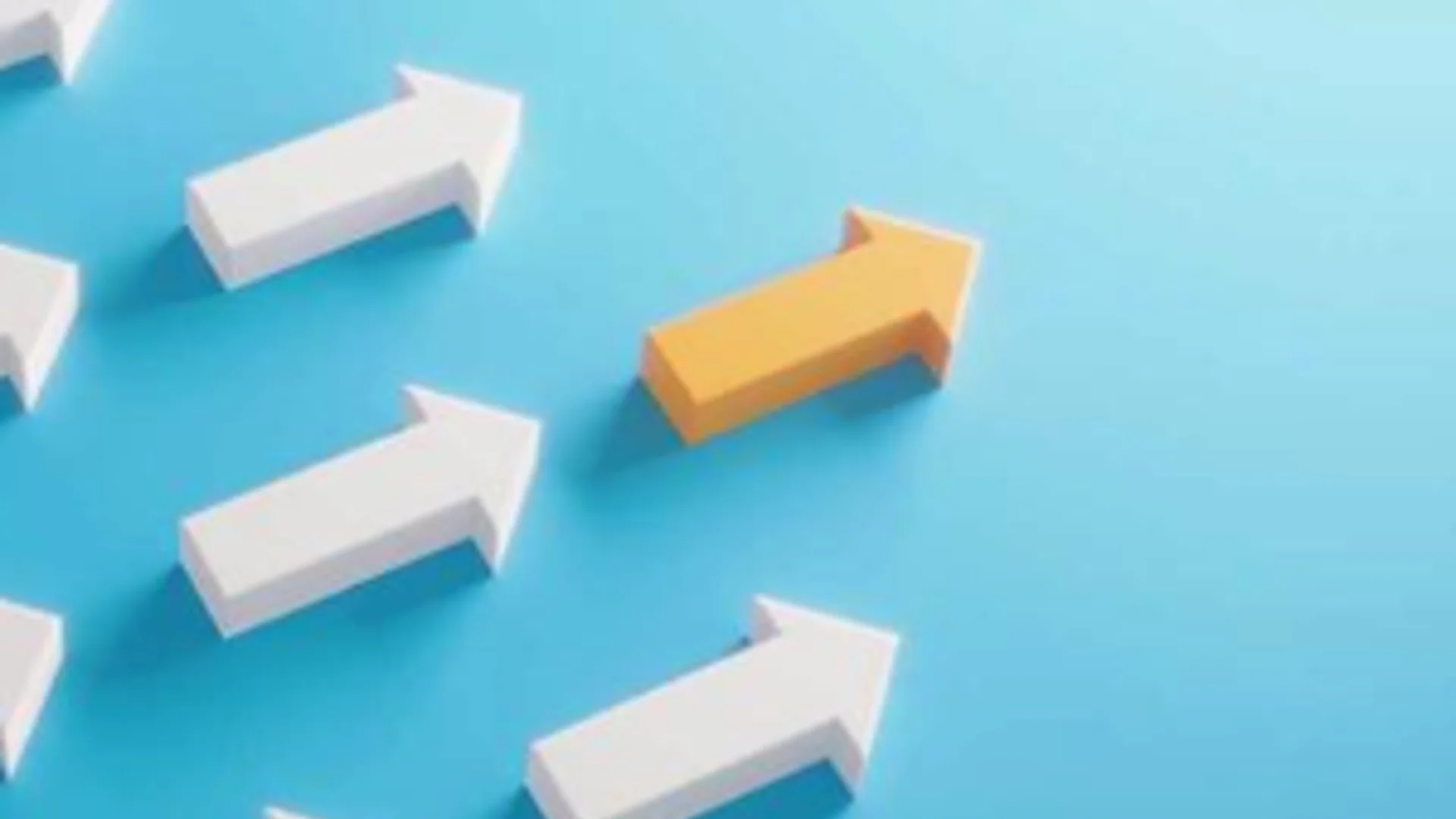 Navigating the recovery