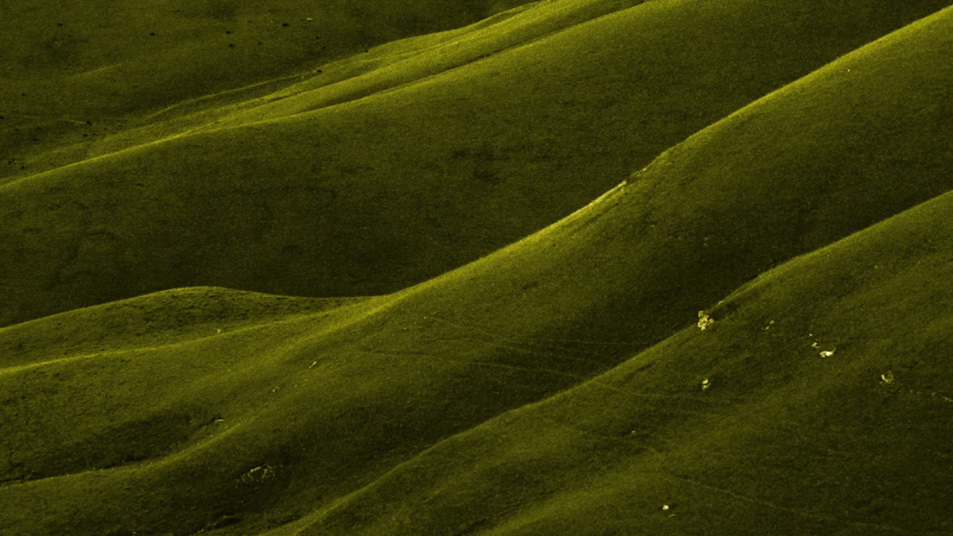 Embracing sustainability in our practices