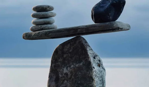 Investors’ worst enemy (themselves?)