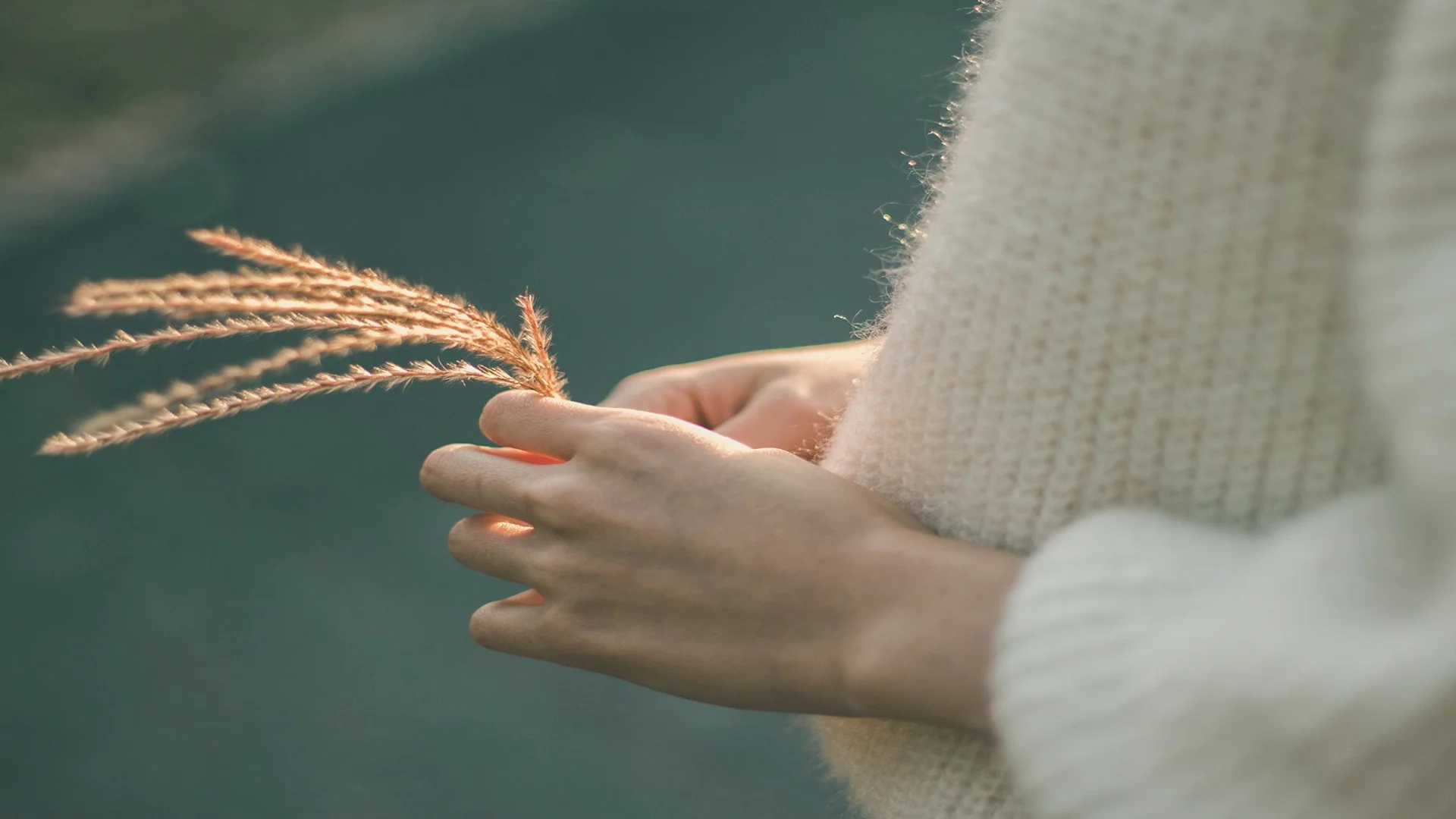 Charities and Philanthropy