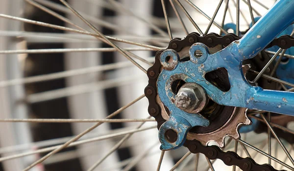 The twists and turns of the cycle