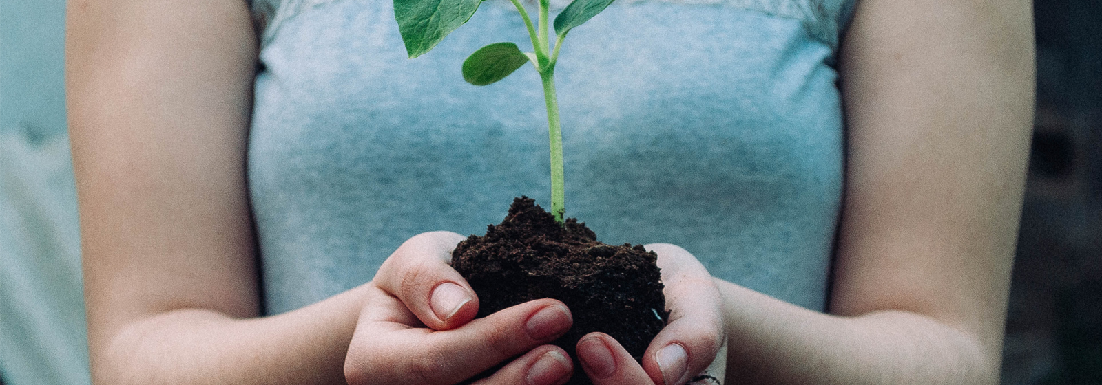 Climate neutral investing: reduce, transform and remove