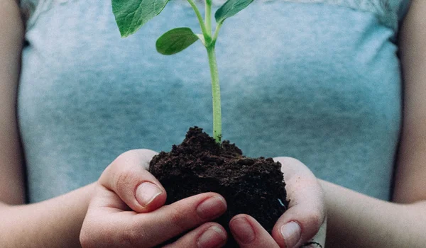 Climate neutral investing: reduce, transform and remove