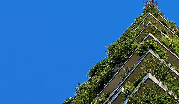 Strategy primer: sustainable leaders