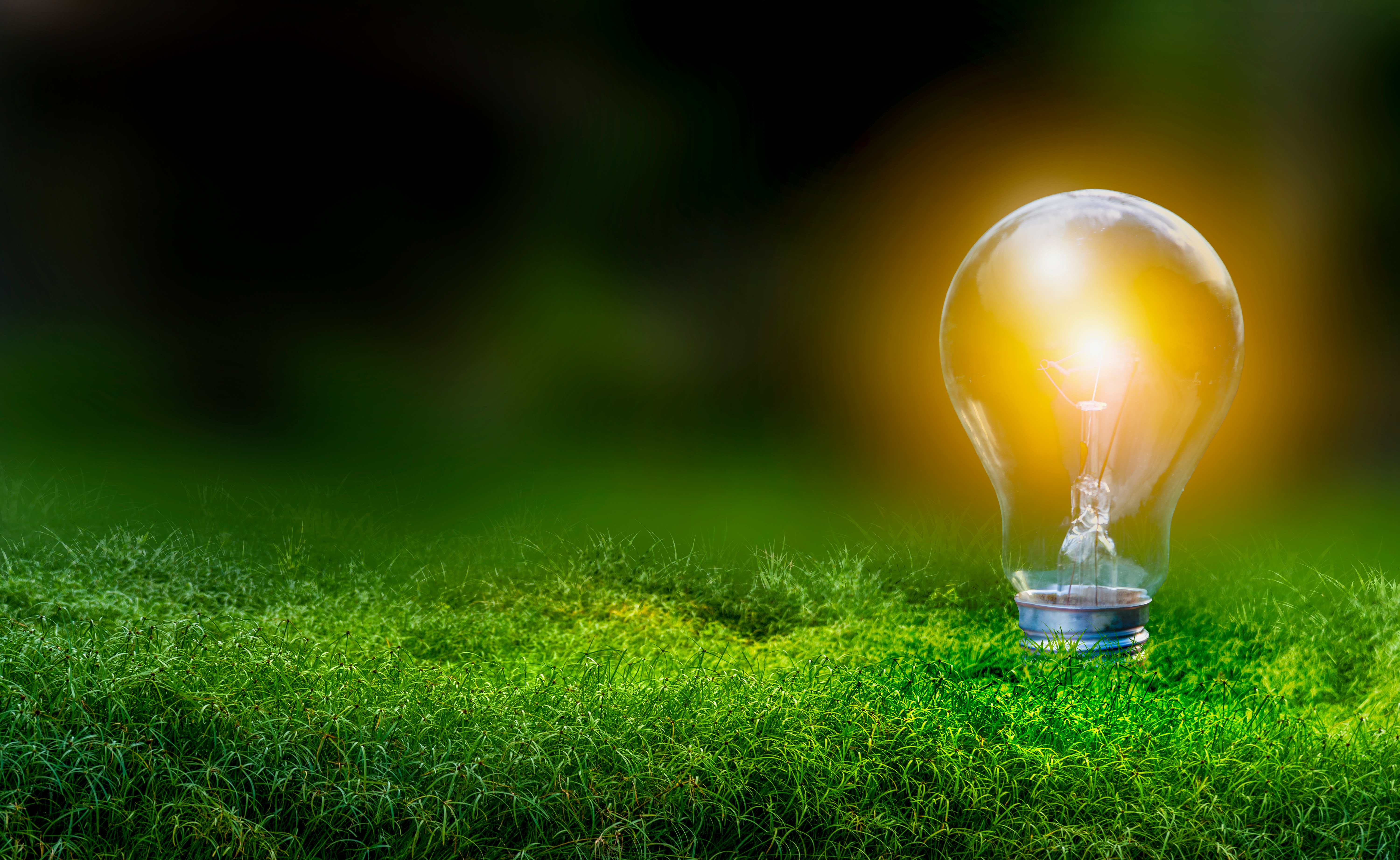 Adobestock 326086660