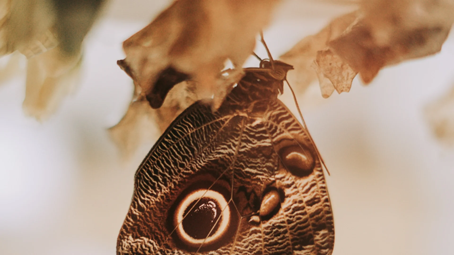 Investing thematically in a market transition