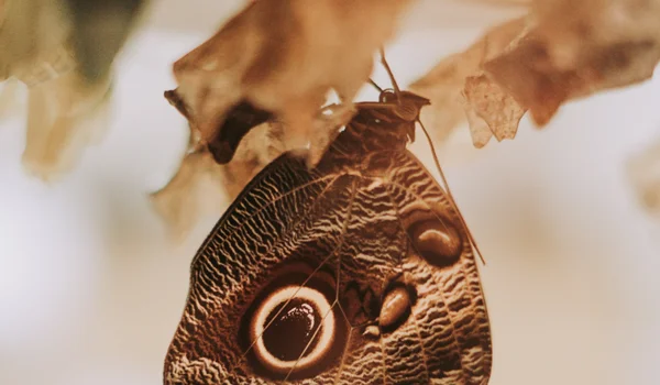 Investing thematically in a market transition