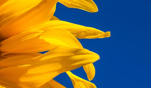 Ukraine War: themes to de-risk economies