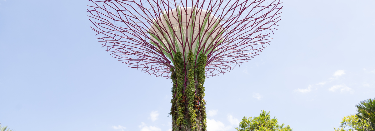 Strategy primer: sustainable dedicated assets