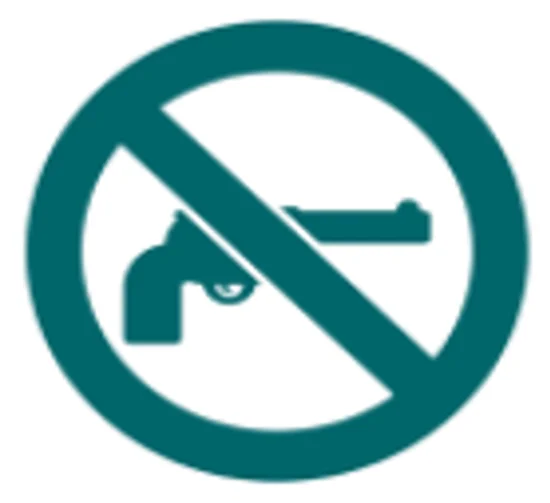 gun