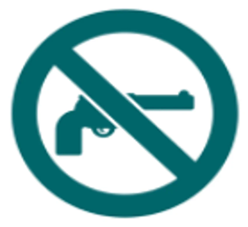 gun