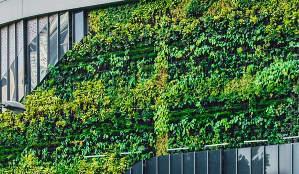 Strategy primer: sustainable themes