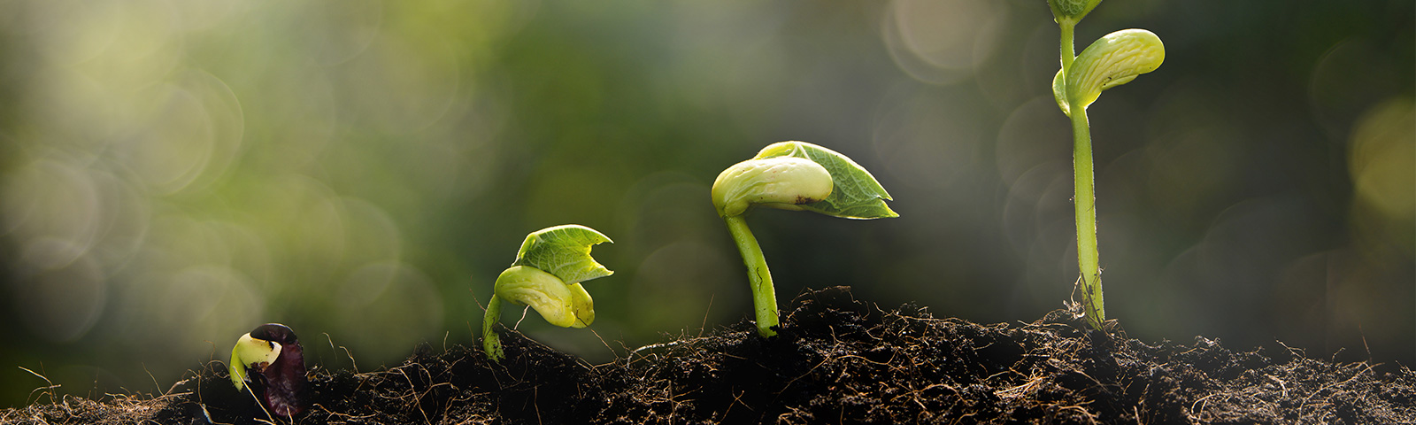 Peaks, pauses and pickups: Quintet unveils 2023 midyear investment outlook