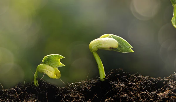 Peaks, pauses and pickups: Quintet unveils 2023 midyear investment outlook