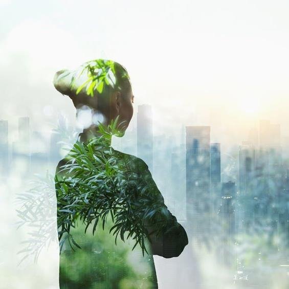 Sustainability: Seizing the opportunity