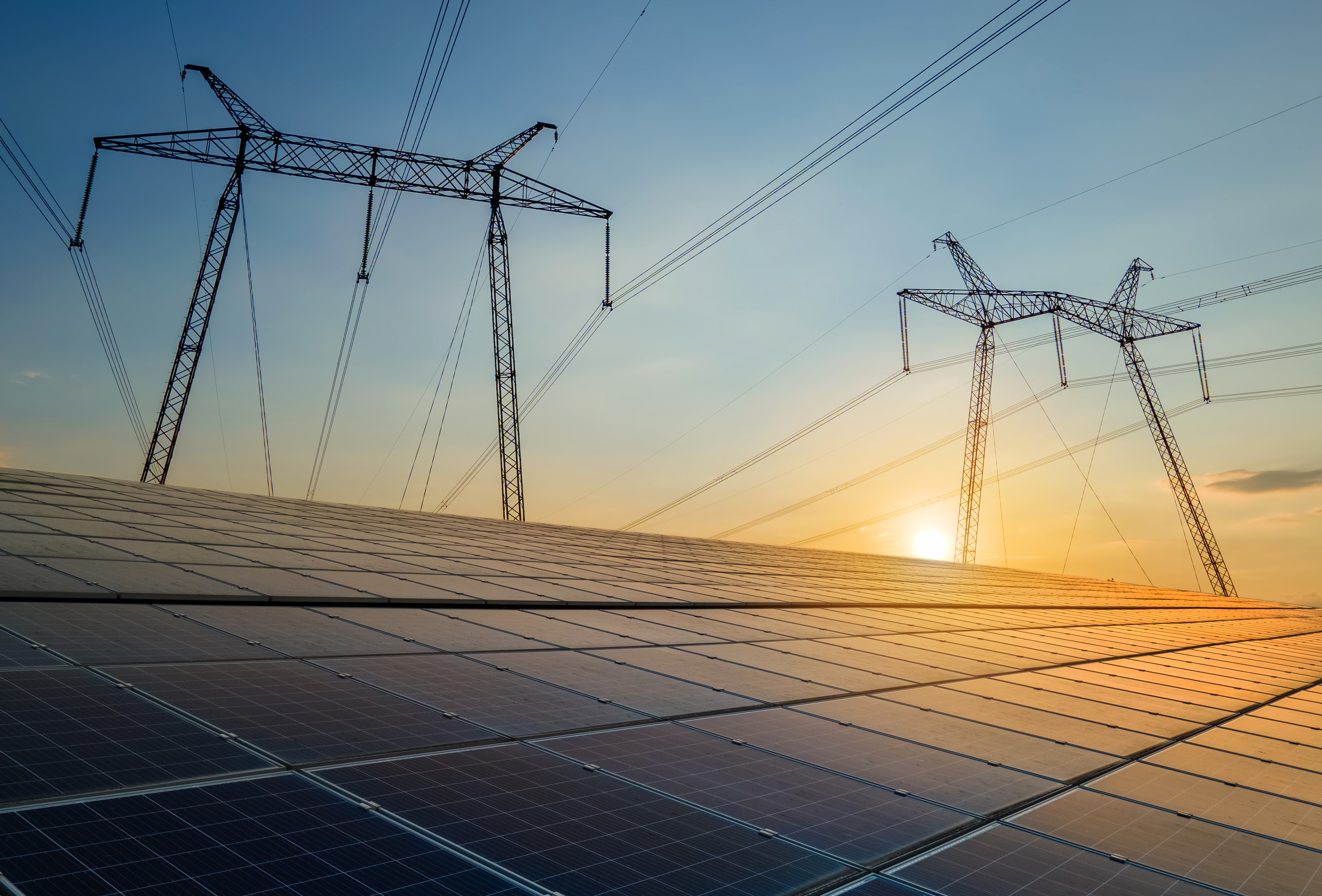 Adobestock 486367226