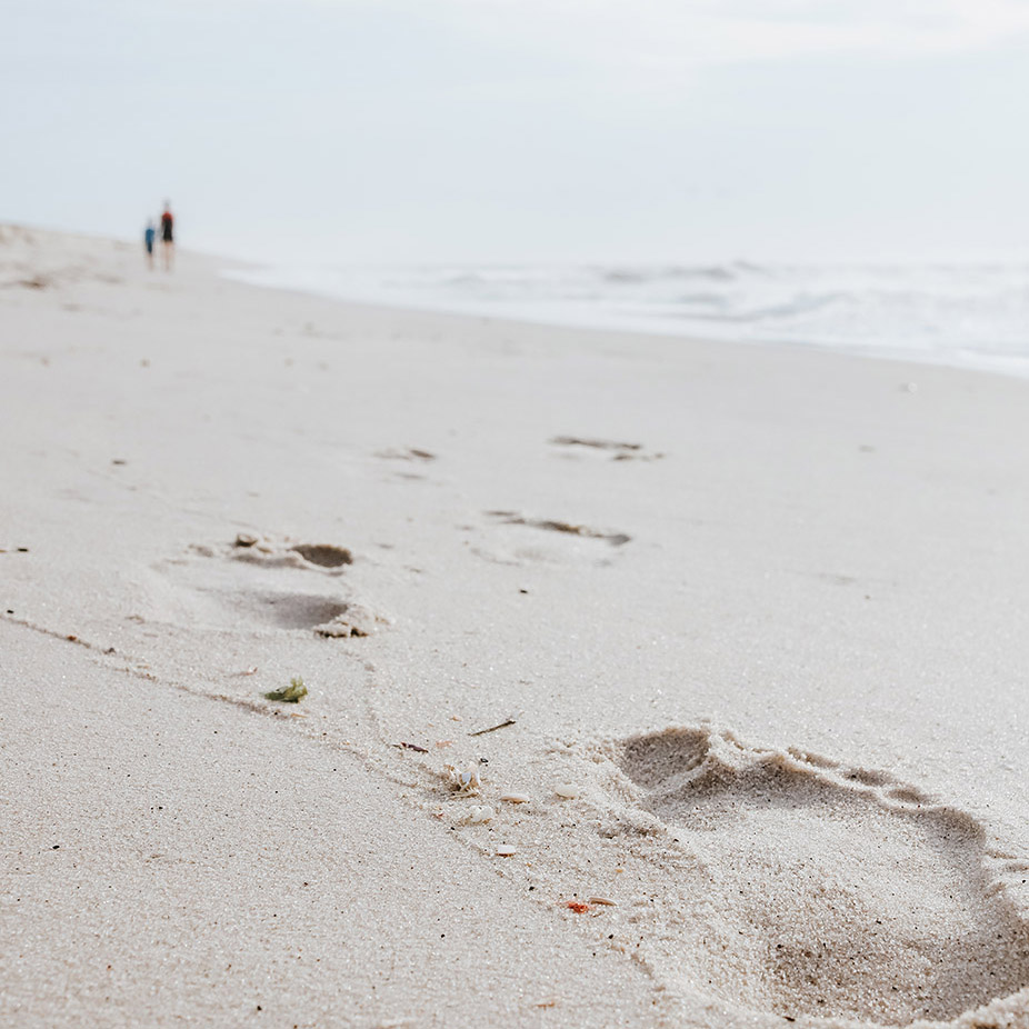 GUIDANCE AT EVERY STEP OF THE WAY