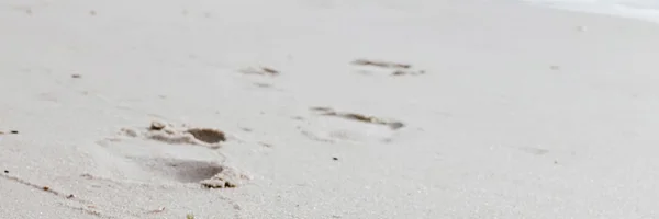 GUIDANCE AT EVERY STEP OF THE WAY