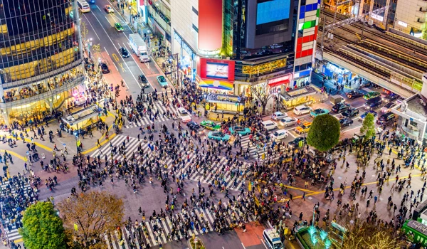 Diversification opportunities amidst uncertainty – Counterpoint May 2025