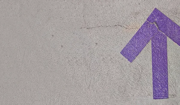 Positive earnings surprises but softer guidance